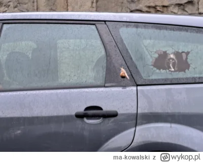 ma-kowalski - A tu Krk, ślimak przyjechał na samochodzie z innego województwa.