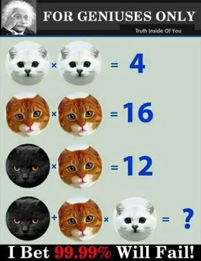 ArystokracjaPomarancza - #koty #matematyka #zagadka