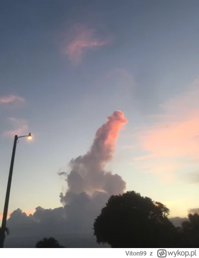 Viton99 - #przegryw Chmura w kształcie penisa dziwne zjawisko atmosferyczne nad Miami...