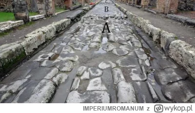 IMPERIUMROMANUM - Rzymianie naprawiali drogi płynnym żelazem

Grupa badaczy: Eric Poe...