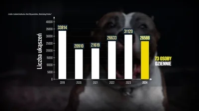 solejukowski - @Casuel https://fakty.tvn24.pl/zobacz-fakty/w-2024-roku-psy-w-polsce-p...