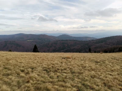 high_hopes - Miłej niedzieli 

#gory #beskidy