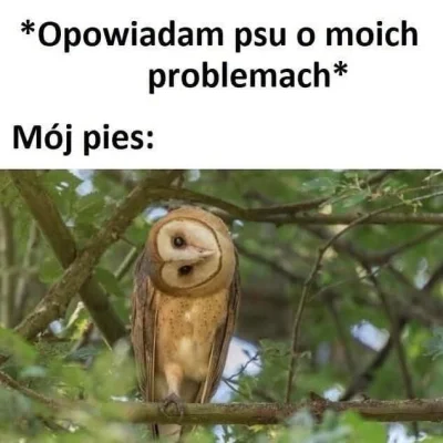 MLeko29 - Dzień dobry