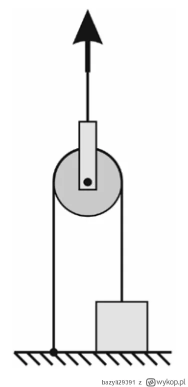 bazyli29391 - Za pomocą bloczka o masie 2 kg i liny, której jeden koniec jest nieruch...