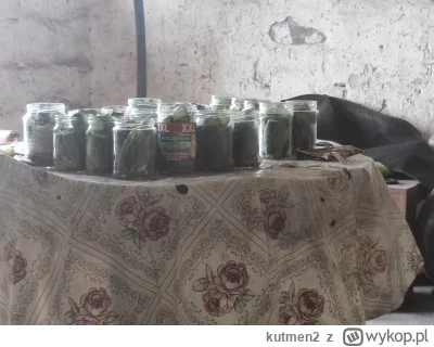 kutmen2 - Ogór już zakiszony to teraz konserwujemy. Jeszcze czekam na paprykę i jakoś...