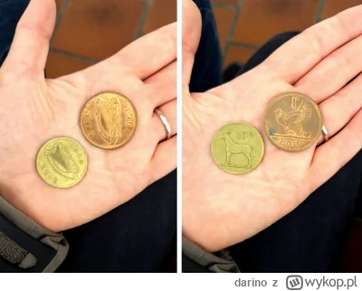 darino - Monety irladzkie, 1 i 20 pensów ( ͡° ͜ʖ ͡°)
#numizmatyka #monety