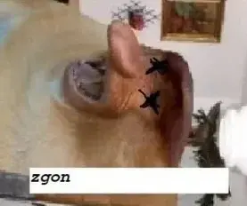 ada_lovelace - @Frasiu: