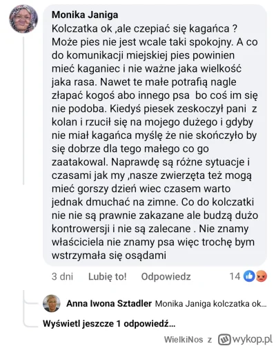 WielkiNos - @nigdywiecej