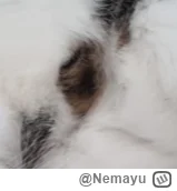 Nemayu - @b0dyload: oko saurona