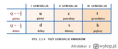 Afrobiker - Fizykę kwantową ciężko przetłumaczyć na prosty język a nazewnictwo wykorz...