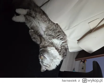 harnasiek - Spi po spacerze