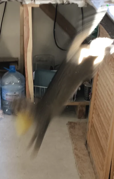 kiedystubylamaleucieklam - @kiedystubylamaleucieklam moment kradzieży