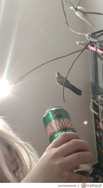 sarnamarna - i tak to życie leci