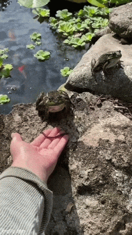 wfyokyga - Dzień dobry