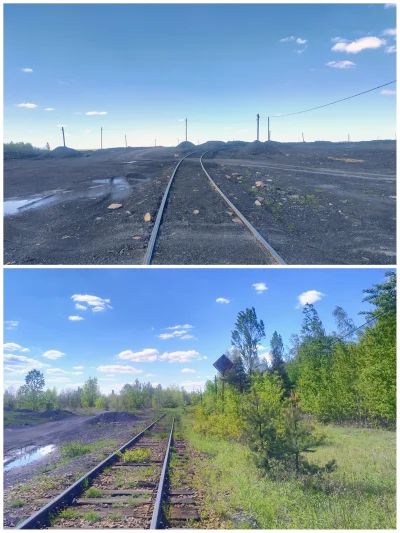 sylwke3100 - Niekiedy na Hołdzie można spotkać różne światy. 

Ten z surowy jakby na ...