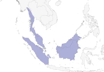 Lifelike - Zasięg występowania: