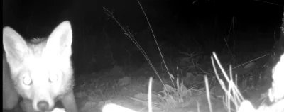 PanNemo - Widzisz mnie?

SPOILER

SPOILER