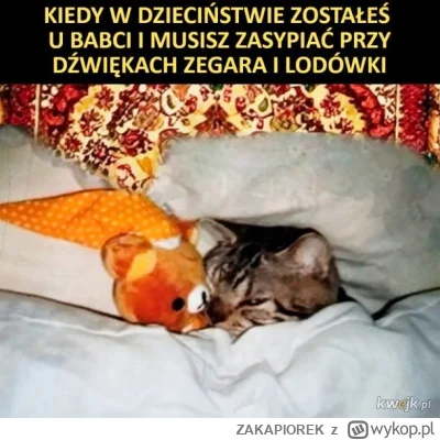 ZAKAPIOREK - #kiedystobylo #dziecinstwo #humorobrazkowy #kitku