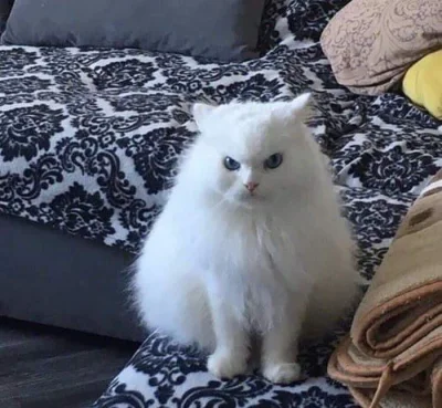 vieniasn - @Soothsayer ja do wielu rzeczy zdolny lepiej się zastanowić panie susajer