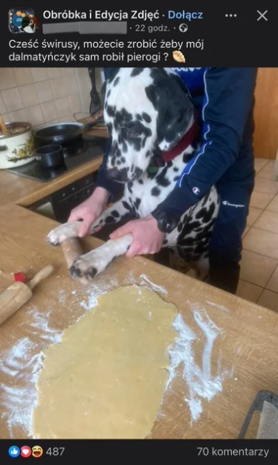 nowszyja - Psiarze to brudasy, a psiarstwo to choroba psychiczna XXI wieku.
#psiarze ...