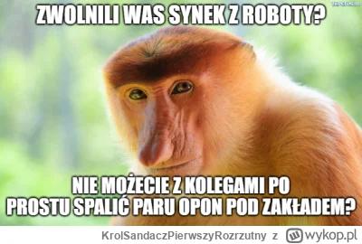 KrolSandaczPierwszyRozrzutny - #pracait #programowanie #programista15k #korposwiat #h...