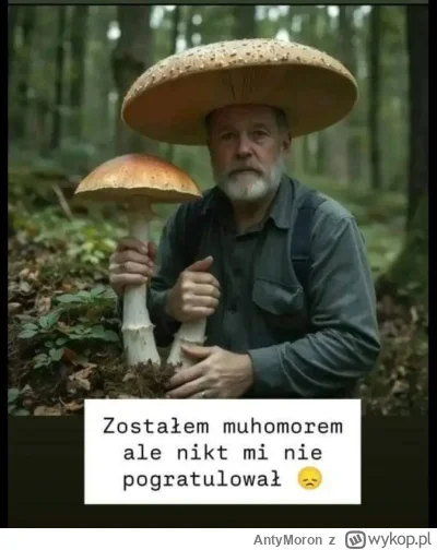 AntyMoron - #grazynacore #facebookcontent