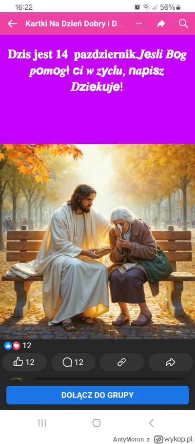 AntyMoron - @mazaken