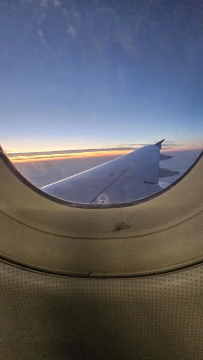 Comboman - Czy ktoś mi powie, jakim cudem ta gadzina znalazła sie pomiędzy szybami w ...