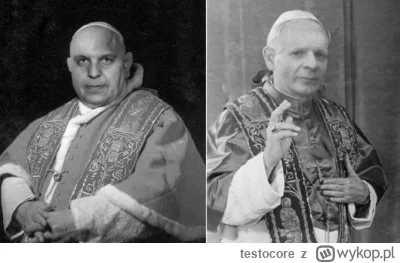 testocore - Wszyscy jesteśmy lateksami 
#kononowicz #patostreamy