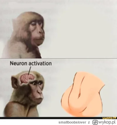 smallboobslover - neuron activation xd

@dotankowany_noca: