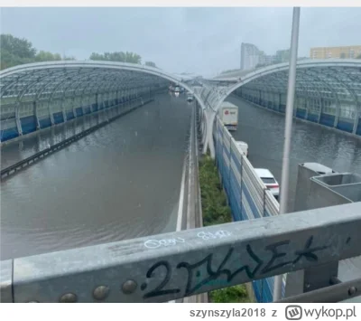 szynszyla2018 - Pływanko? ( ͡° ͜ʖ ͡°) #warszawa