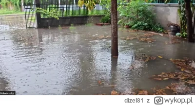 dizel81 - Lokal u Prezia:)
#raportzpanstwasrodka