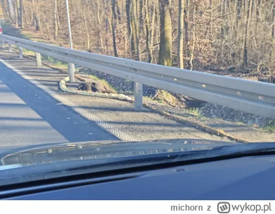 michorn - Cześć, ważna sprawa przed snem, bo mózg nie odpuści. Wytłumaczy ktoś, jakie...