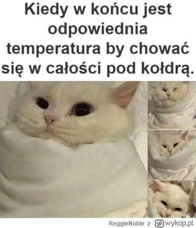 ReggieNoble - #pogoda