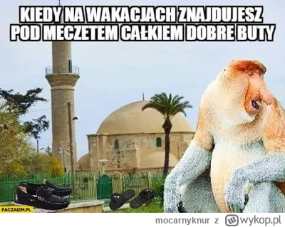 mocarnyknur - #heheszki #humorobrazkowy #memy