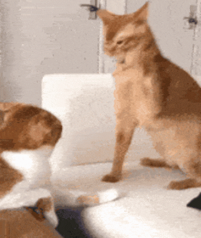 godzina12_00 - >(@Tyrande 

@Tyrande bo zle cie oznaczyla... @Wrrronika