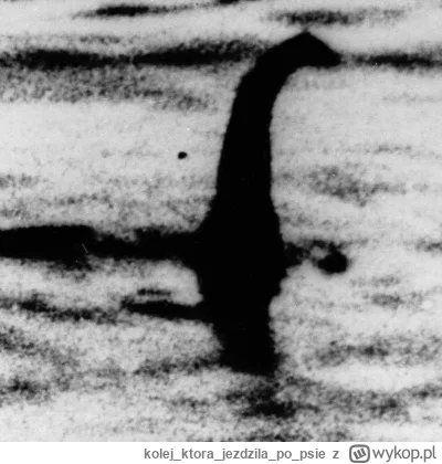 kolejktorajezdzilapopsie - Kolega ze zdjecia widziany czesciej niz 3 pkt dla reprezta...