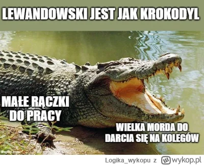 Logika_wykopu - #mecz