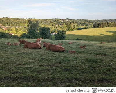 veracholera - @Thelastperfect_man: na przeciwko były jeszcze male