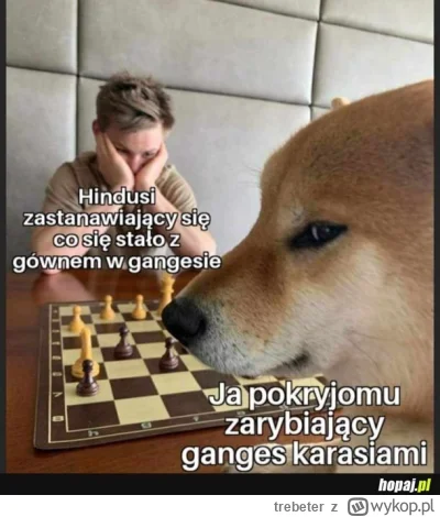 trebeter - #humor #humorobrazkowy