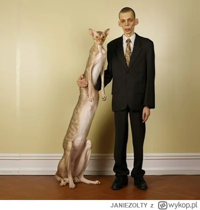 JANIEZOLTY - #aikitku