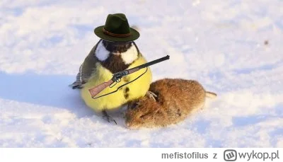 mefistofilus - @Drake87: