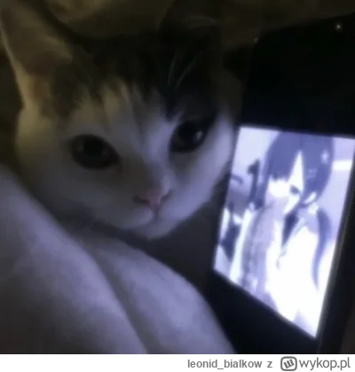 leonid_bialkow - @wfyokyga: potwierdzam tylko ja siem interesował akurat