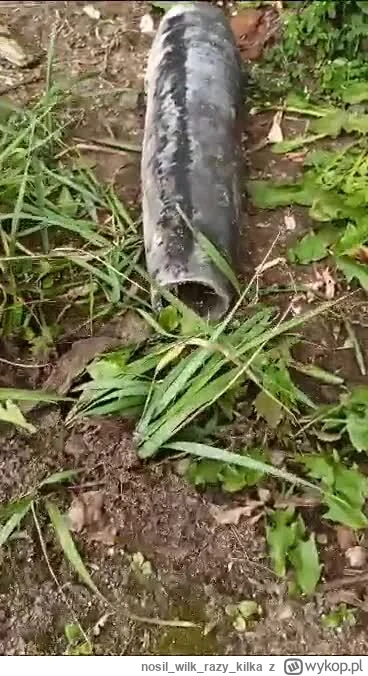 nosilwilkrazy_kilka - Po wypadku w fabryce kombajnów, wyrzucone części z fabryki wala...