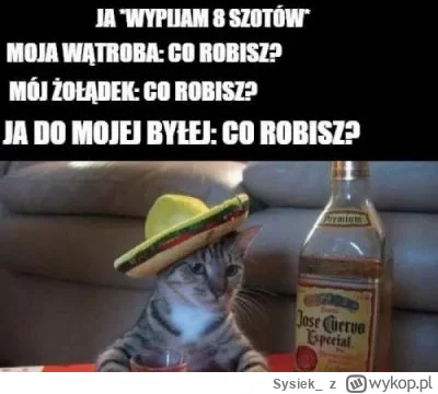 Sysiek_ - #memy #heheszki #humorobrazkowy
