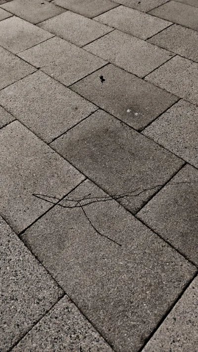 Hakibut - Siedzę w robocie na nocnej, i obserwuje ślimaka,
Przez dwie godziny przepel...