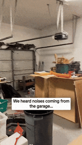 wfyokyga - Nie widać nas