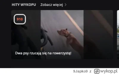 9Japko9 - Z ruchem się trochę zgadzam, ale ofensywa wobec psów zaczyna trochę przypom...
