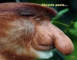 Defined - @Kismeth: 
1. Premier cuckold co go żona zdradzała
2. Prezydent co wziął i ...