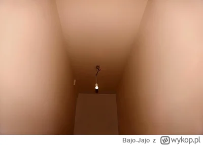Bajo-Jajo - ostatnio remontowałem korytarz, jaka lampa by tam pasowała?